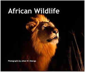 African Wildlife boek