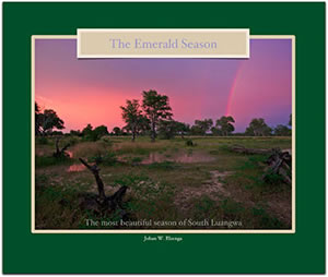 Emerald Season boek