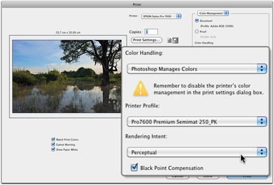 Print dialog in Photoshop